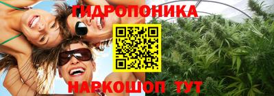 прущие грибы Моздок