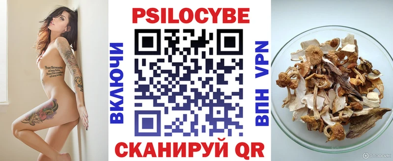 Псилоцибиновые грибы мицелий  Киржач 