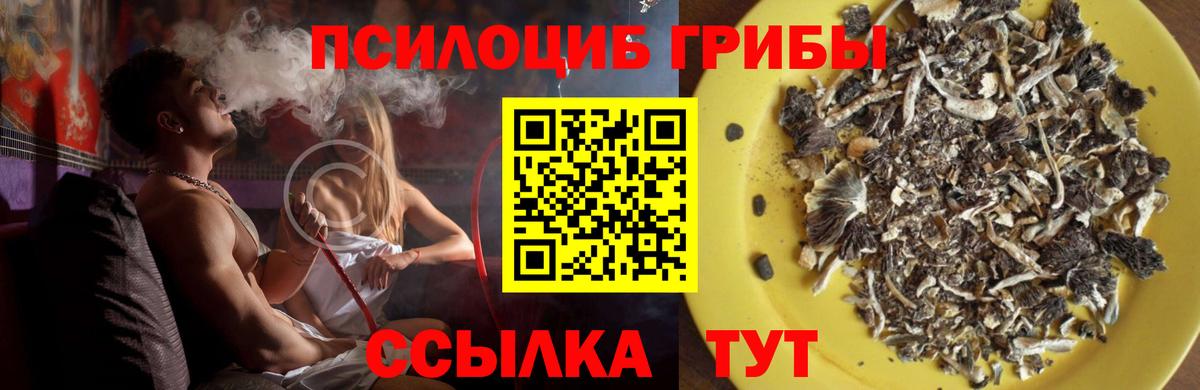 Галлюциногенные грибы Cubensis  Вход с VPN  Киржач  наркошоп  Галлюциногенные грибы ЛСД 